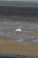 /album/fotos-afrika/img-1736-small-jpg/